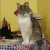 Отзыв от Пелагея Фролова